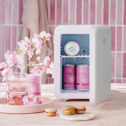 Køleskab 4L med Varme- og Kølefunktion