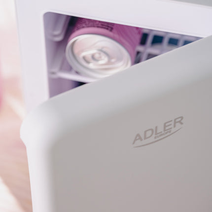 Køleskab 4L med Varme- og Kølefunktion