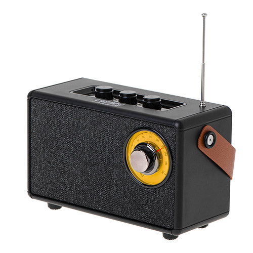 Sort FM Radio med Bluetooth