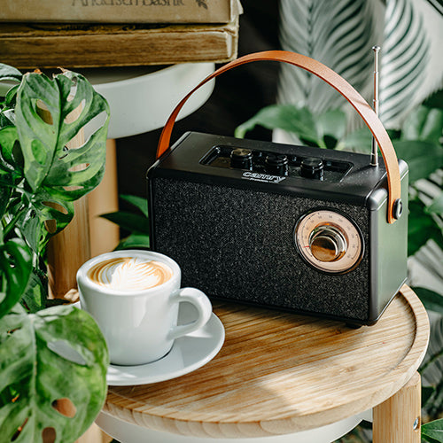 Sort FM Radio med Bluetooth