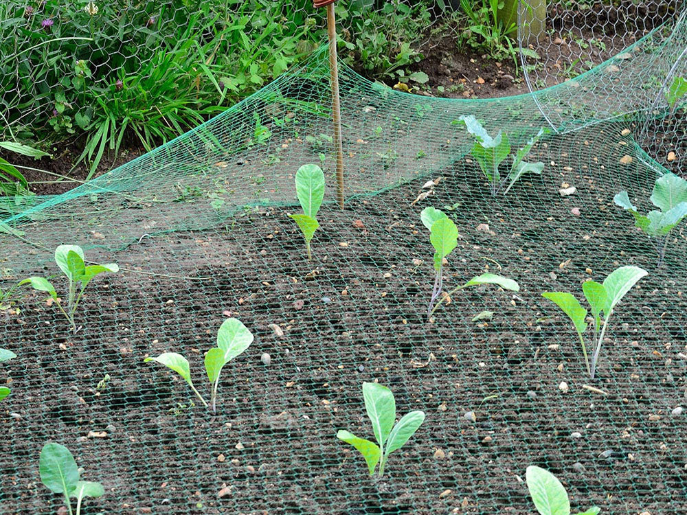 Beskyttelsesnet til Have – 4 x 6 m Fuglenet til Frugt og Afgrøder