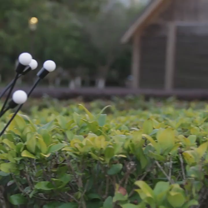 Indlæs video: 2 stk. ildfluer på solceller til haven, svinger i vinden.
